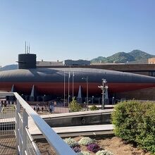 真横から見るととっても細長いです