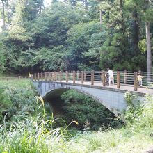 園内の橋