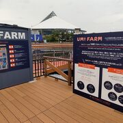 海育をコンセプトとした水族館UMI FARM