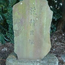 花積貝塚の石碑です。最初見ただけでは、全く意味が解りません。