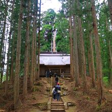 高倉神社に続く坂道