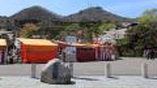 五稜郭と並ぶ桜の名所