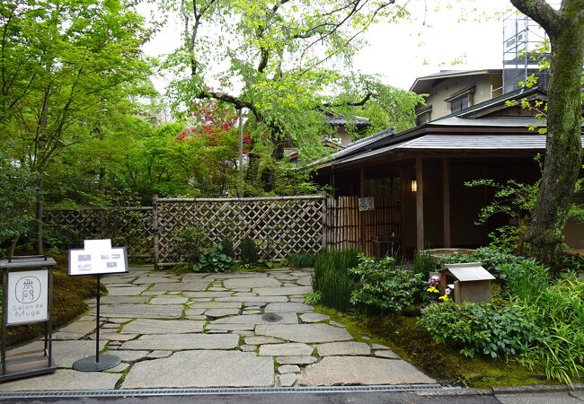 遅咲きの桜を観ながらの極上和スィーツをいただく