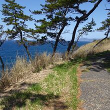 ヤセの断崖から続く遊歩道