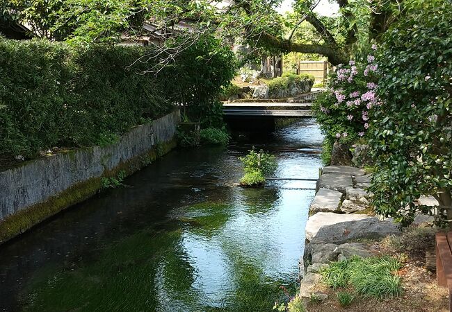 きれいな川が流れています。