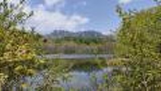 戸隠山が映ってきれい