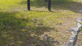 鳥島展望所から赤水展望広場にかけての道路沿いに位置する公園