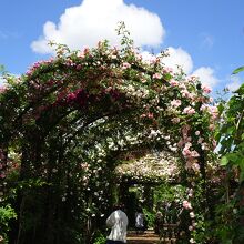 アーチがあります。