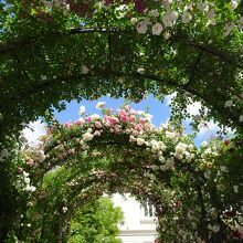 アーチに入ると別空間のような感じになります。