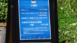 たくさんの薔薇を鑑ることができます。