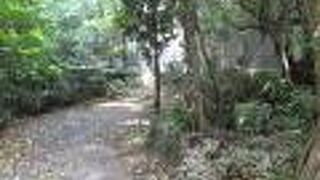 昔の共同井戸があります