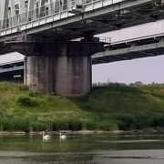 つくばエクスプレスで柏の葉公園へ！