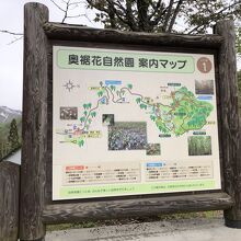 奥裾花自然園の案内マップ