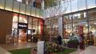 建物内に桜が！