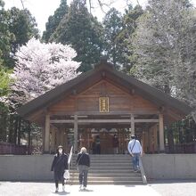 桜がさいていました。