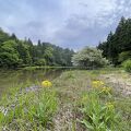 平池(カキツバタ群生地)