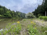 平池(カキツバタ群生地)