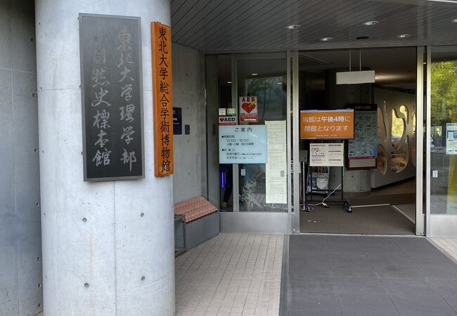 東北大学理学部自然史標本館 クチコミ アクセス 営業時間 仙台 フォートラベル