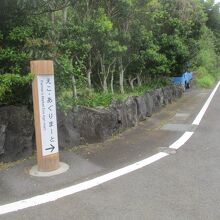 えこあぐりまーと八丈島地熱利用農産物直売所