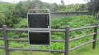 八重根のメットウ井戸