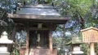 御本宮まであと一息