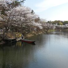 弘前公園中濠観光舟