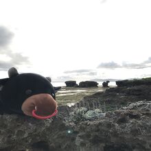 牛の岩と黒島研究所の牛くじのぬいぐるみ