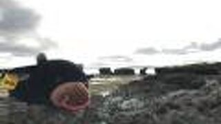 研究所近くの海岸