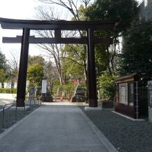 東郷神社の参道と鳥居です。右側に東郷記念館の神池があります。