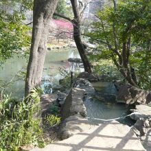 改装工事中の東郷記念館の南側の神池です。