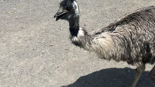 とても楽しいところです。