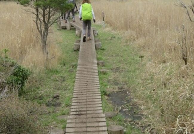 九州自然歩道沿いで見ました