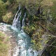 美瑛川のしろひげの滝