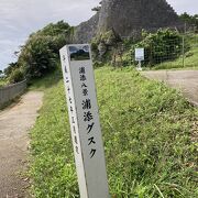 大きな公園の中