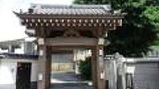 大きなイチョウの木があります。