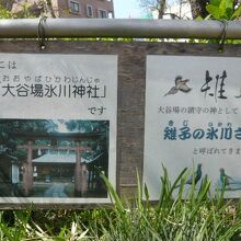 大谷場の氷川神社は、雉の氷川様として、特徴付けられています。