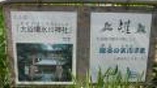 大谷場の氷川神社の入口には、狛犬として雉が置かれています。邪気を祓はらうという意味からです。