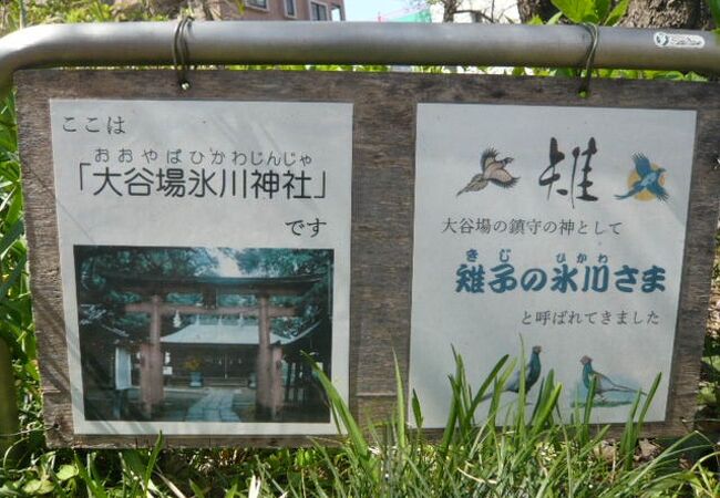 大谷場の氷川神社の入口には、狛犬として雉が置かれています。邪気を祓はらうという意味からです。