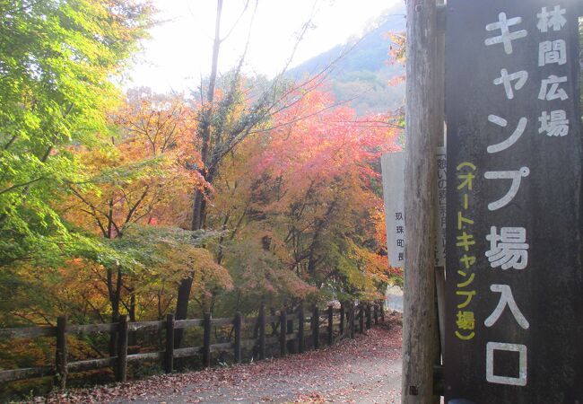 きりかぶ村憩いの森キャンプ場