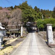 小栗上野介のお墓在ります。