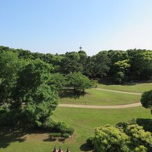 バルコニーからは葛西臨海公園の緑