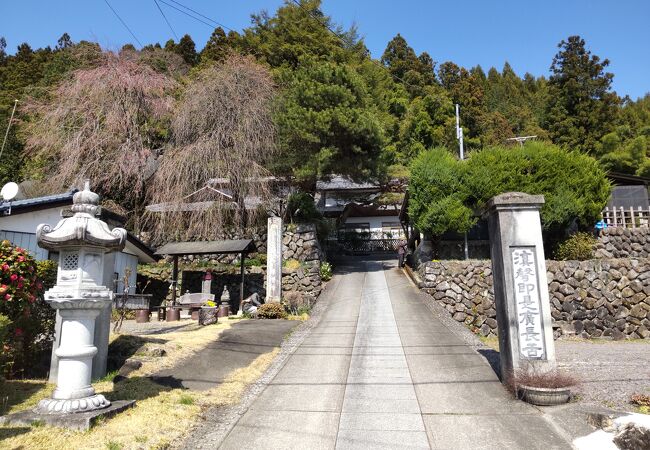 小栗上野介のお墓在ります。