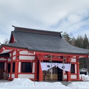 隣はラベンダー園