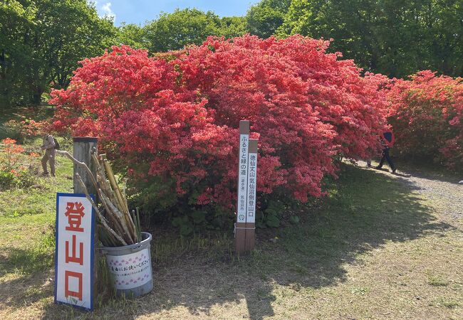 徳仙丈山