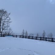 冬は駐車場のみの除雪