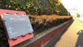 川沿いの自転車道！