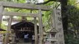 山奥の静かな佇まい