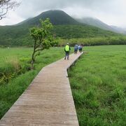 くじゅう連山を眺めながら散策