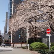 東京の街の至る所にこのようにゆっっくり散策できる緑道が張り巡らされて