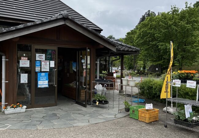 親水公園としては広そうで素敵ですが、道の駅としてはイマイチ